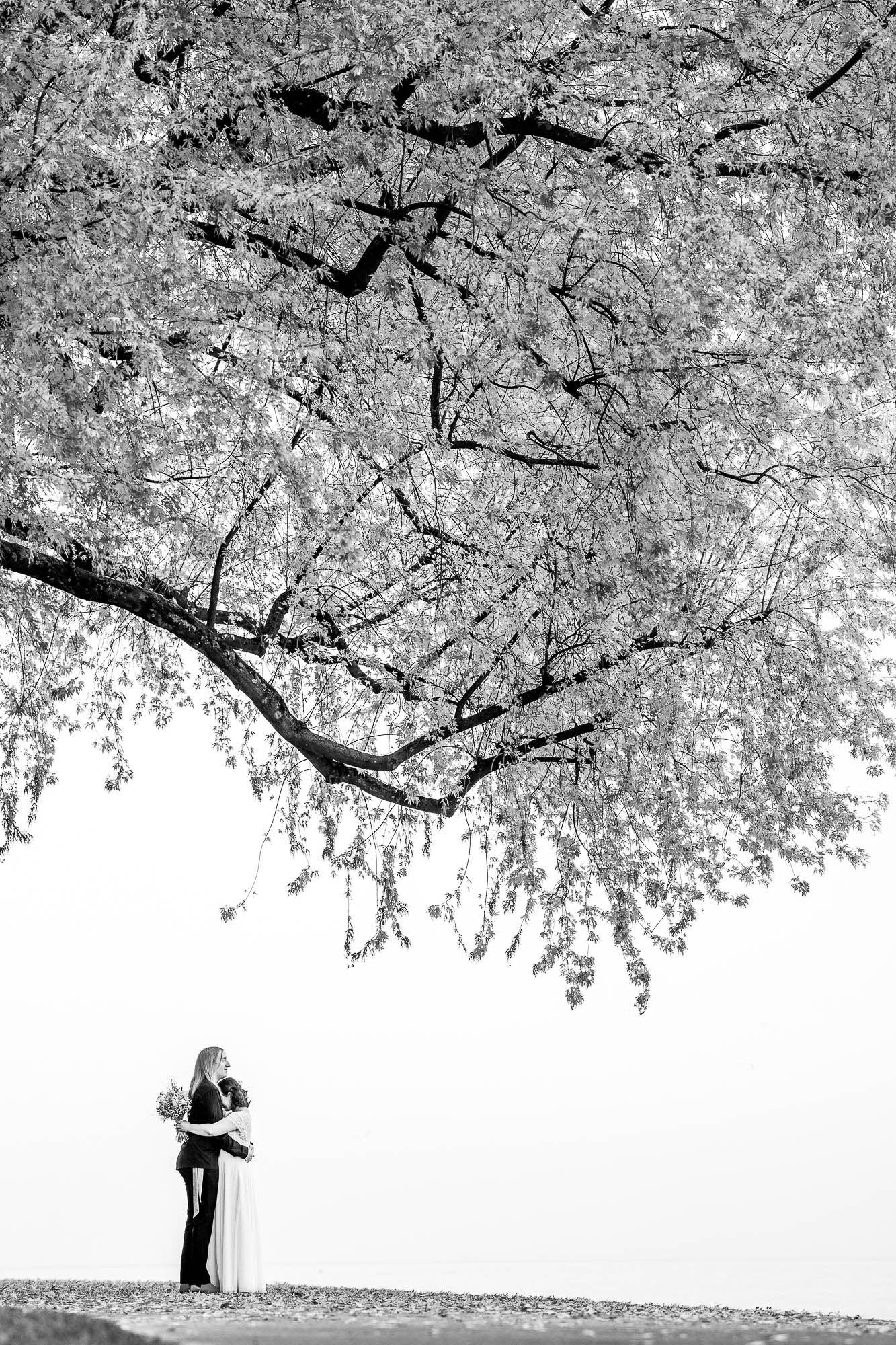 Export x3 1DX29367 Hochzeit 2020 Monika & Sharru 5